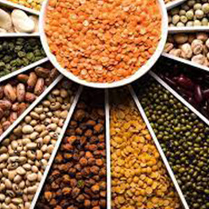 Pulses & Lentils